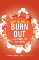 Cover image of book Burn Out: The Endgame for Fossil Fuels by Dieter Helm