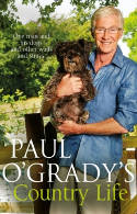 Cover image of book Paul O