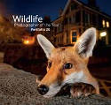 Cover image of book Wildlife Photographer of the Year 26 by Rosamund Kidmund Cox