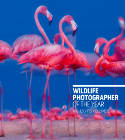 Cover image of book Wildlife Photographer of the Year: Highlights Volume 5 by Various photographers