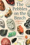 Cover image of book The Pebbles on the Beach: A Spotter
