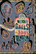 Cover image of book The Book of the Gaels by James Yorkston