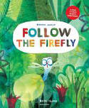 Cover image of book Follow the Firefly and Run, Rabbit, Run by Bernardo Carvalho