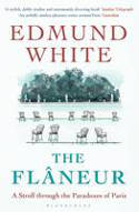 Cover image of book The Flaneur by Edmund White
