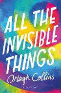 Cover image of book All the Invisible Things by Orlagh Collins