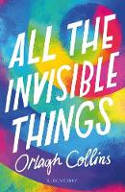 Cover image of book All the Invisible Things by Orlagh Collins 