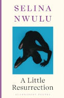 Cover image of book A Little Resurrection by Selina Nwulu