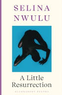 Cover image of book A Little Resurrection by Selina Nwulu 