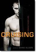 Cover image of book Cruising: Gay Erotic Stories by Shane Allison (Editor) 