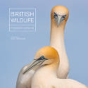 Cover image of book British Wildlife Photography Awards #10 by Various photographers