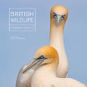 Cover image of book British Wildlife Photography Awards #10 by Various photographers 