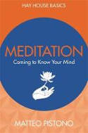 Cover image of book Meditation: Coming to Know Your Mind by Matteo Pistono