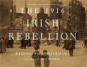 Cover image of book The 1916 Irish Rebellion by Bríona Nic Dhiarmada 