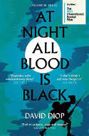 Cover image of book At Night All Blood is Black by David Diop