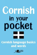 Cover image of book Cornish in Your Pocket by Y Lolfa 