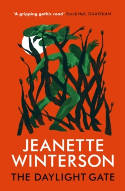 Cover image of book The Daylight Gate by Jeanette Winterson