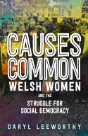 Cover image of book Causes in Common: Welsh Women and the Struggle for Social Democracy by Daryl Leeworthy 