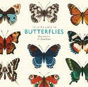 Cover image of book The Little Guide to Butterflies by Tom Frost