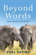 Cover image of book Beyond Words: What Animals Think and Feel by Carl Safina