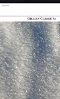 Cover image of book Ice by Gillian Clarke