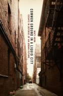 Cover image of book Common Ground in a Liquid City: Essays in Defense of an Urban Future by Matt Hern 