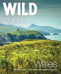 Cover image of book Wild Guide Wales by Daniel Start and Tania Pascoe