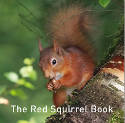 Cover image of book The Red Squirrel Book by Jane Russ