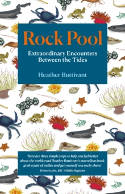 Cover image of book Rock Pool: Extraordinary Encounters Between the Tides by Heather Buttivant