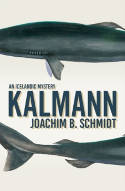 Cover image of book Kalmann by Joachim Schmidt 