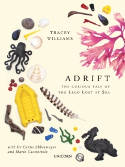 Cover image of book Adrift: The Curious Tale of the Lego Lost at Sea by Tracey Williams