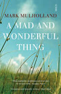 Cover image of book A Mad and Wonderful Thing by Mark Mulholland